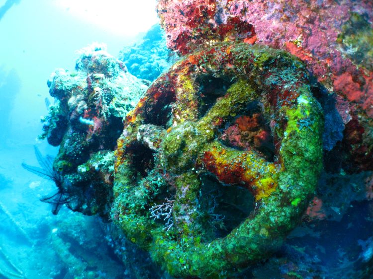 #トランベン#シップレック