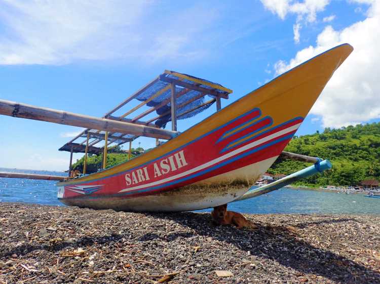 アメッドのビーチでは犬も昼寝
