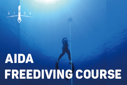 バリ島AIDAフリーダイビングコース