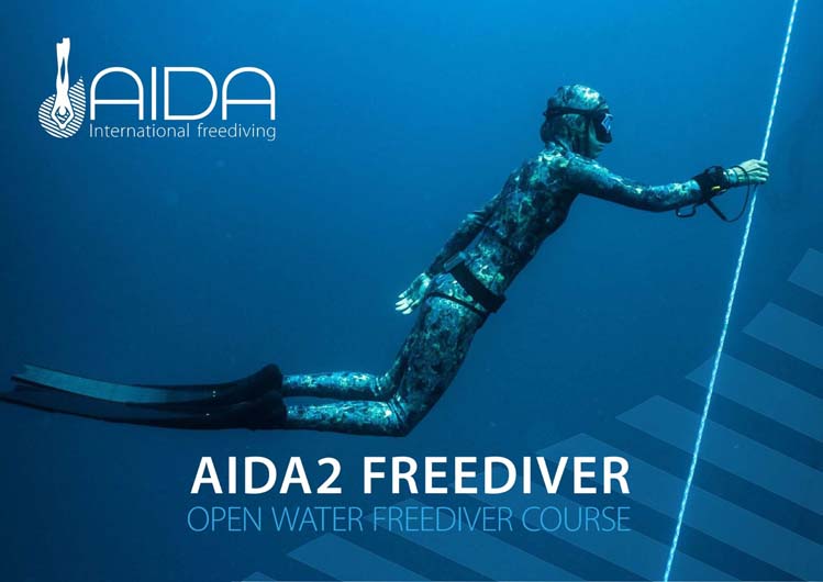 誰でも楽しめるもっと自由な海の中