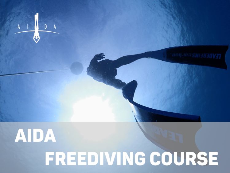 バリ島AIDAフリーダイビングコース