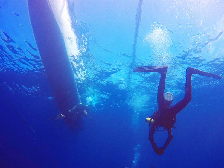 テペコン、ブルーウォーター