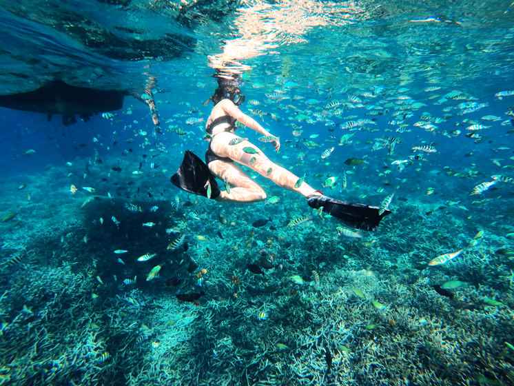 レンボンガン島のマングローブポイント