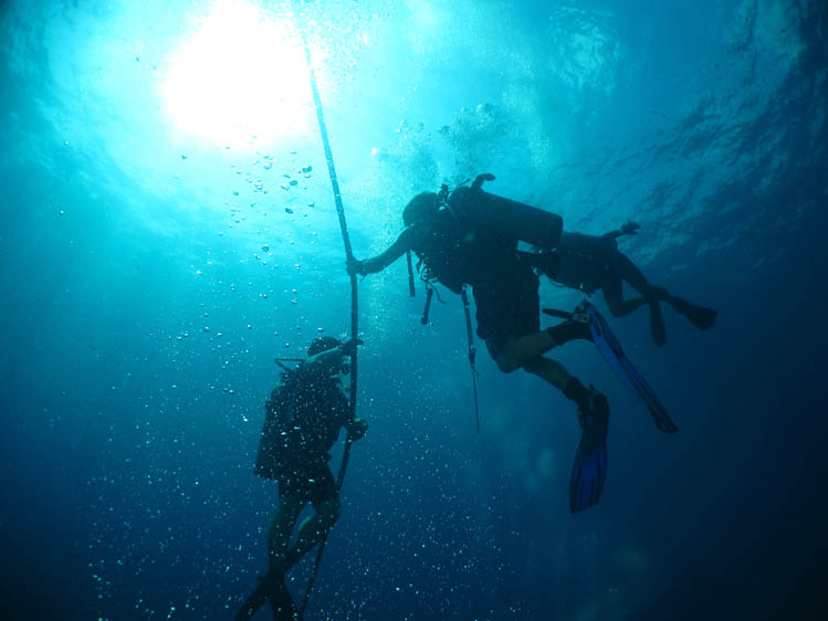 初めての海の世界、海洋実習