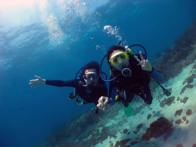 ご夫婦でPADIライセンス取得