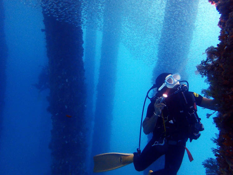 パダンバイ　マクロパラダイス　ジェティ