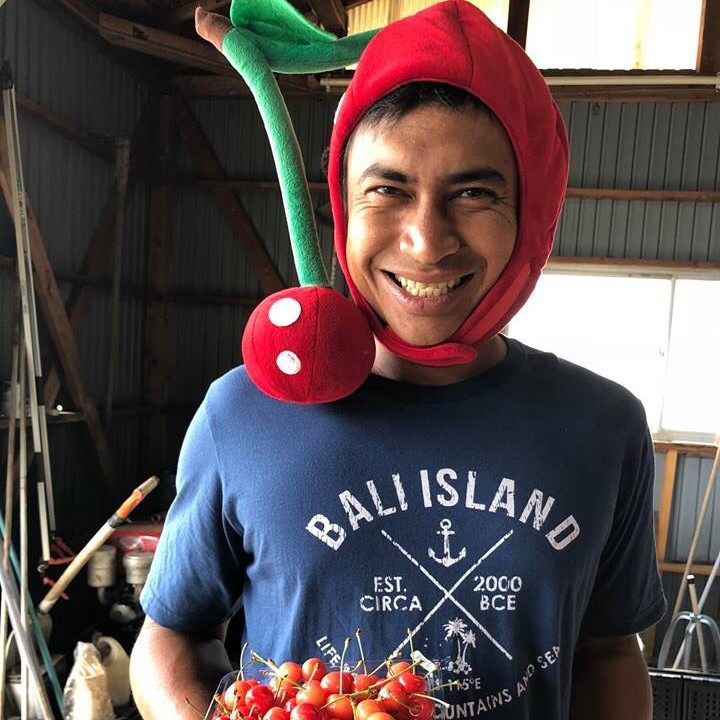 コチェ本当はコチッ