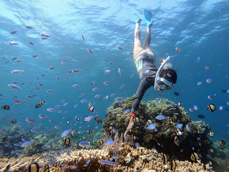 バリ島アメッドスキンダイビング水中写真