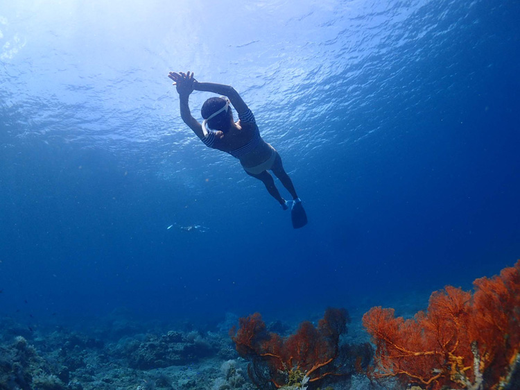 アメッドシークレットビーチでスキンダイビング