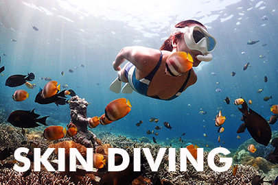 バリ島スノーケリング、フリーダイビング