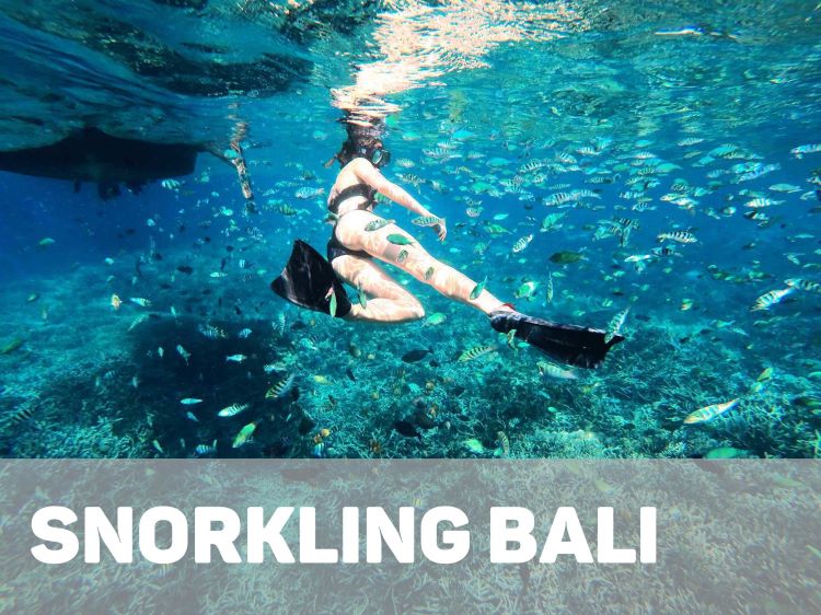 誰でも楽しめるもっと自由な海の中