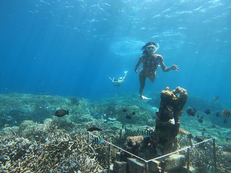 レンボンガン島スキンダイビング