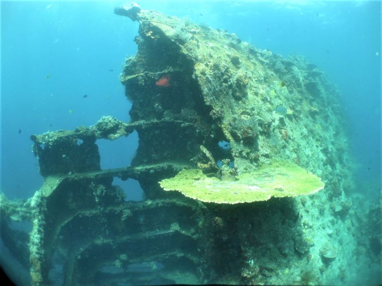 スキンダイビング、フリーダイビングでも見られるトランベン沈没船