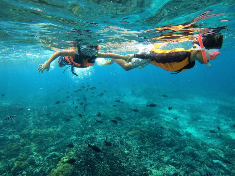 四歳だって楽しめちゃう