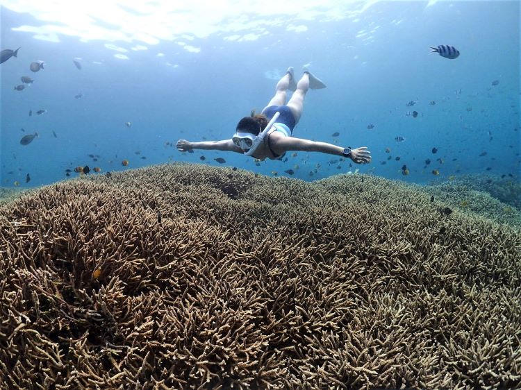 ペニダ島スキンダイビング、フリーダイビング