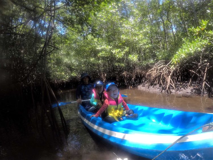 レンボンガン島マングローブでのカヤック