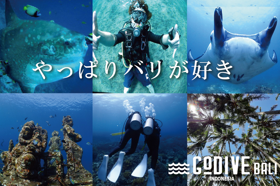 バリ島GO DIVE BALI、やっぱり、バリが好き