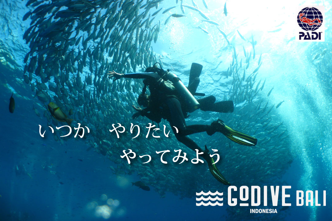バリ島でダイビングライセンス取得