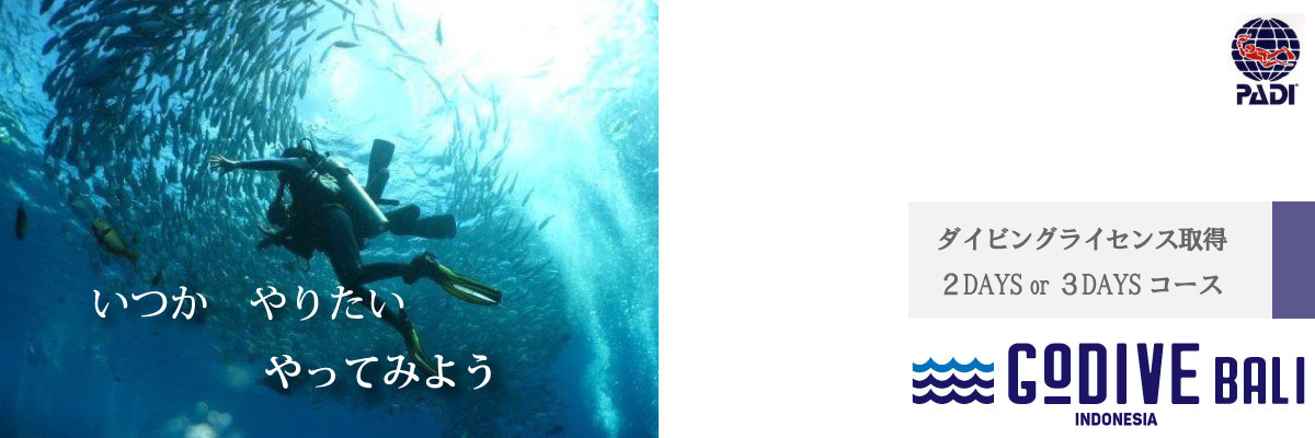バリ島でダイビングライセンス取得